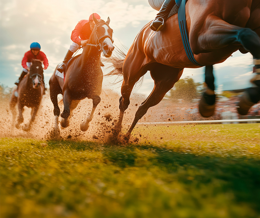 ¿Cuáles son los caballos que corren en la Lototurf? Guía para consultar los participantes