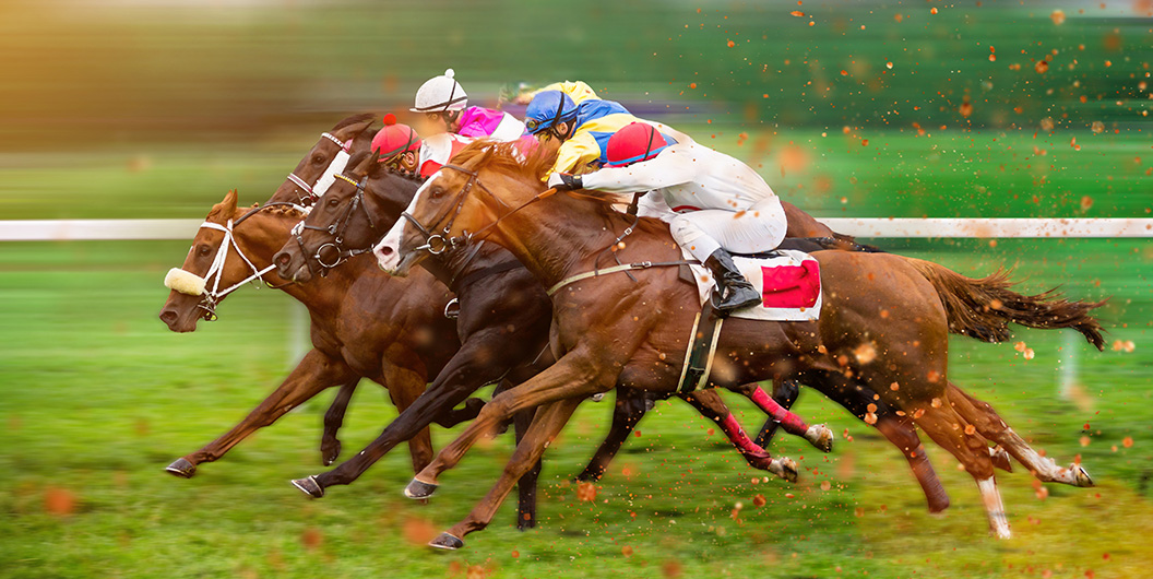 ¿Cuáles son los caballos que corren en la Lototurf? Guía para consultar los participantes