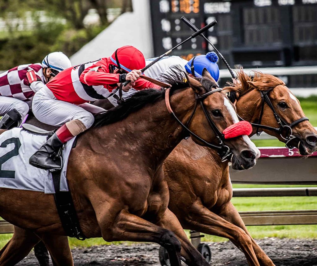 Cómo ver el calendario de carreras relacionadas con Lototurf | Fechas y horarios